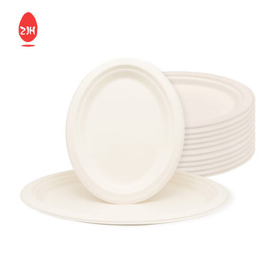 245 mm wegwerpvoedselverpakkingen FSC-servies voor milieubescherming