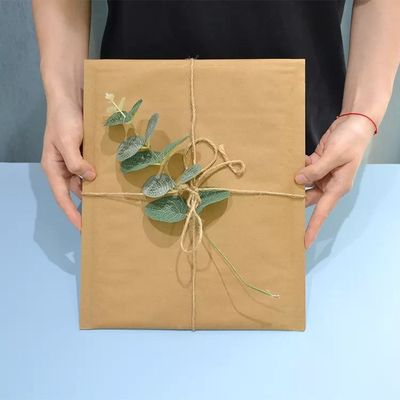 Express envelop kraftpapier Mailer Biologisch afbreekbaar schokbestendig honingraat kraftpapier